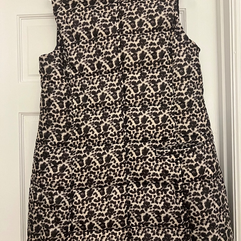 Down vest